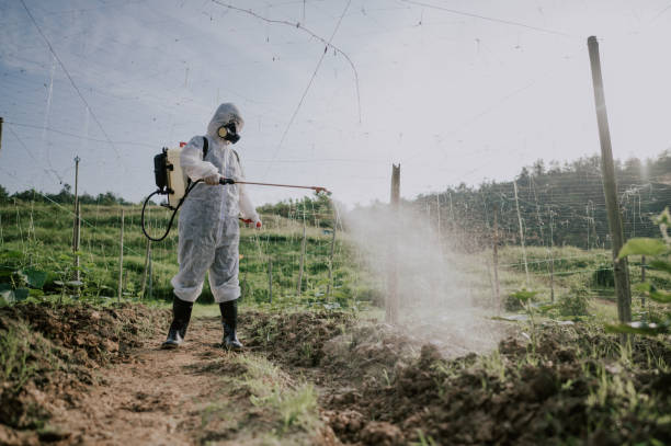 Best Mosquito Control Services  in Pasadena, MD
