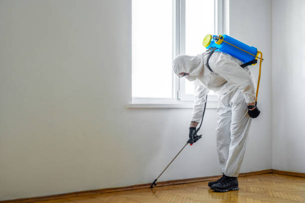 Best Pest Control Near Me  in Pasadena, MD