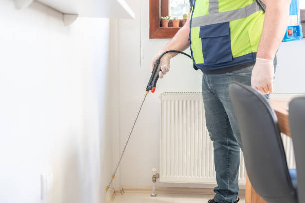 Trusted Pasadena, MD Pest Control Experts