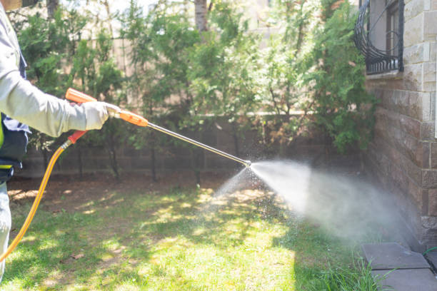 Best Wasp Removal Services  in Pasadena, MD