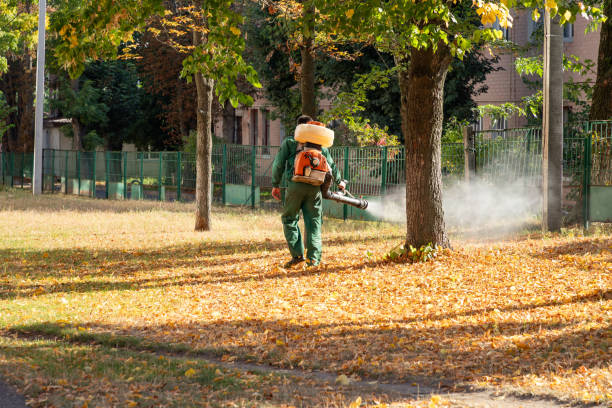 Best Best Pest Control Companies  in Pasadena, MD