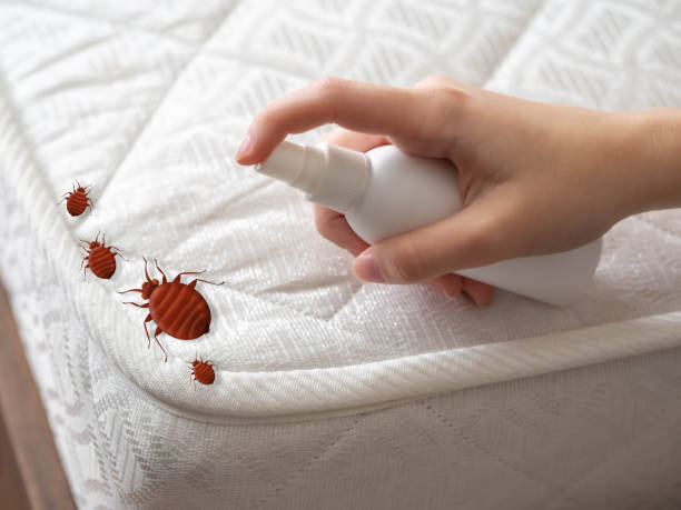 Best Best Pest Control Companies  in Pasadena, MD