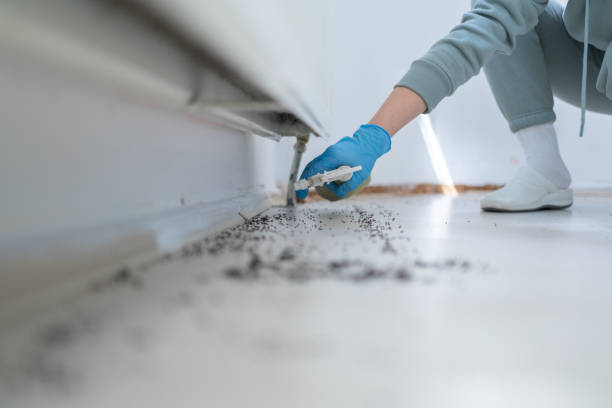 Best Cockroach Control Services  in Pasadena, MD