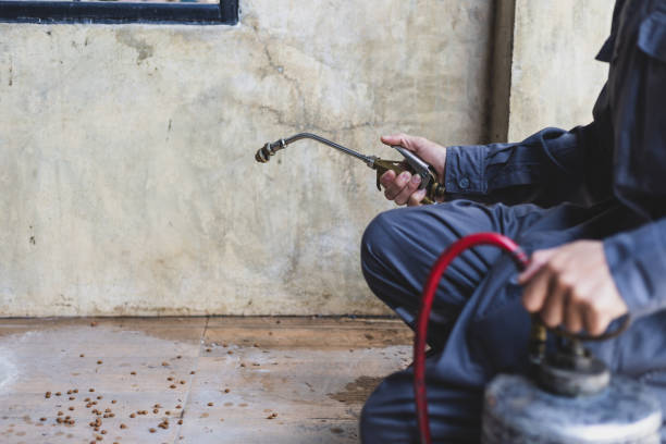 Best Pest Removal Services  in Pasadena, MD