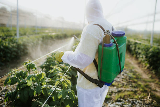 Best Pest Control for Restaurants  in Pasadena, MD